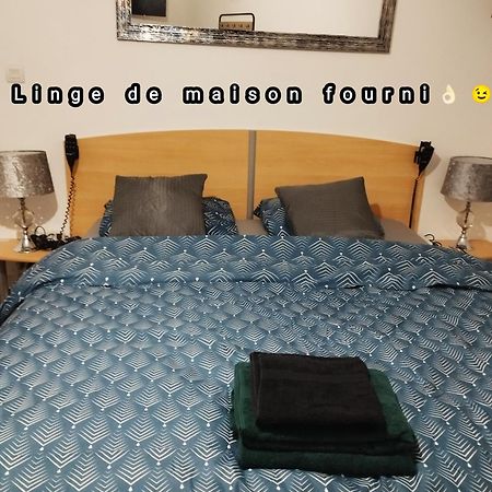 Appartement Avec Cour Plein Centre Foix Eksteriør billede