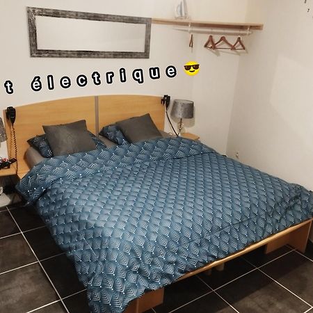 Appartement Avec Cour Plein Centre Foix Eksteriør billede