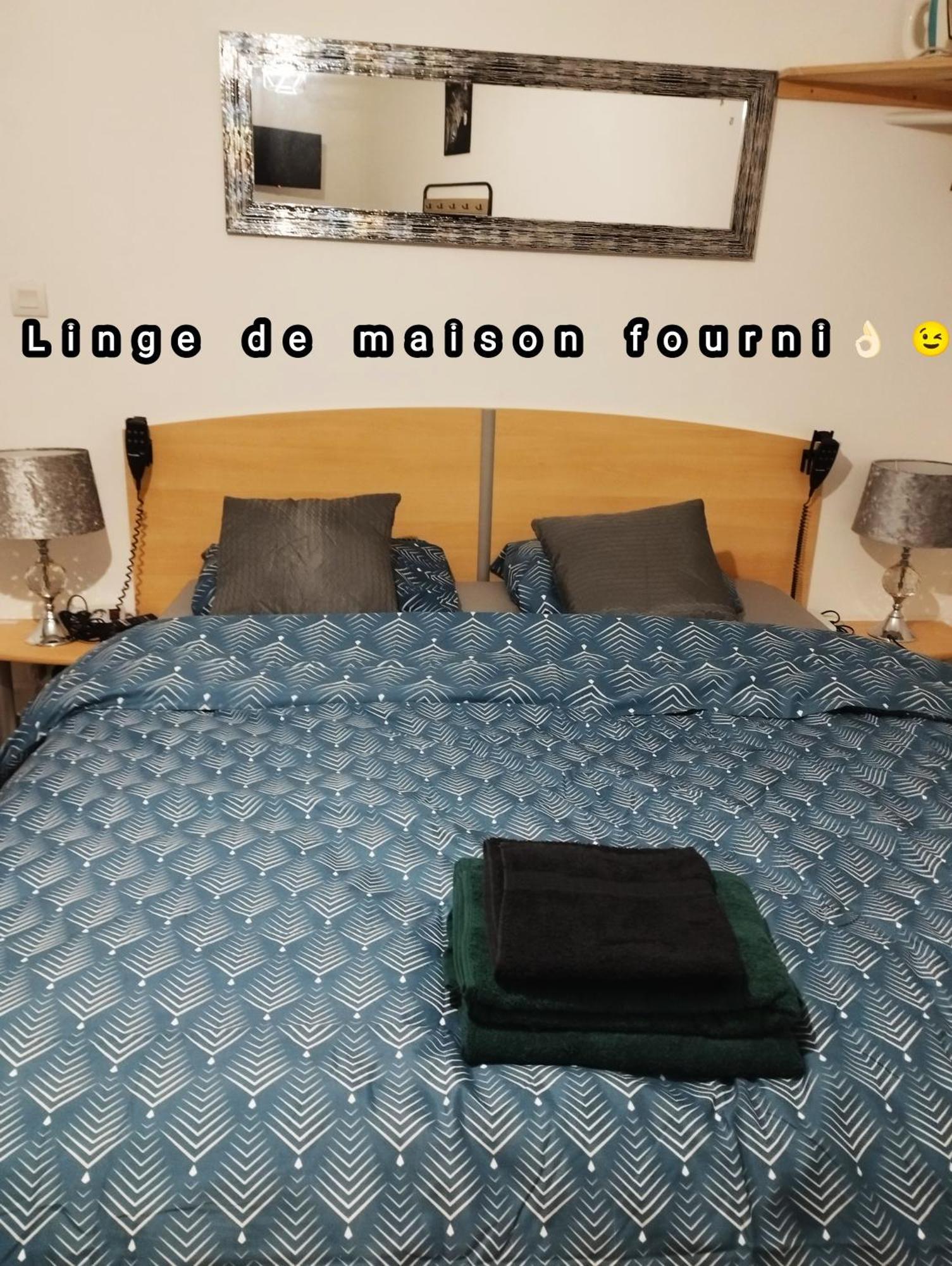 Appartement Avec Cour Plein Centre Foix Eksteriør billede